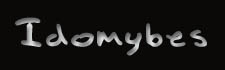 Idomybes